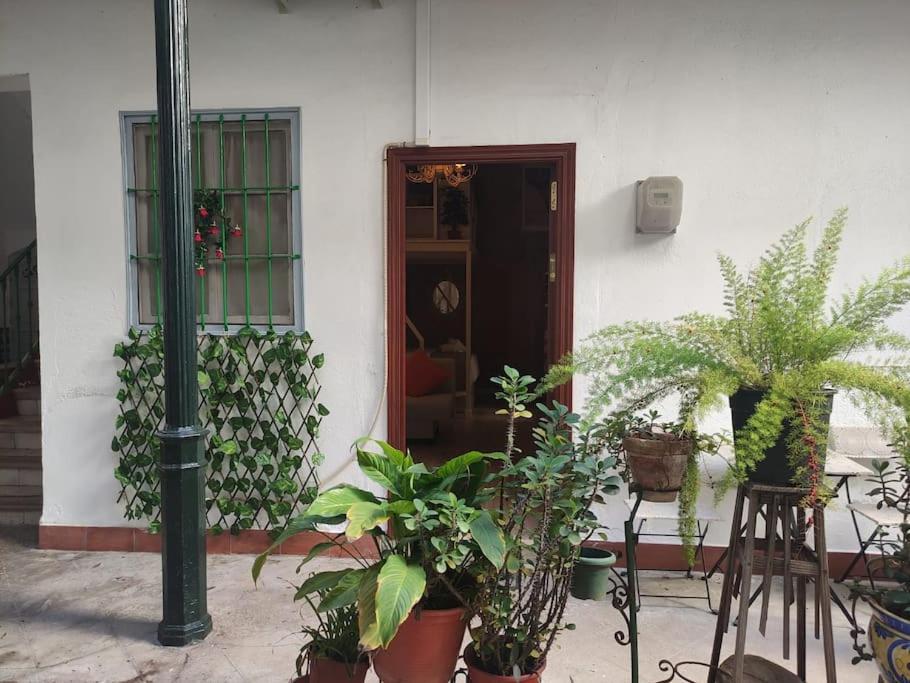 Apartment Arte De La Seda Ii *